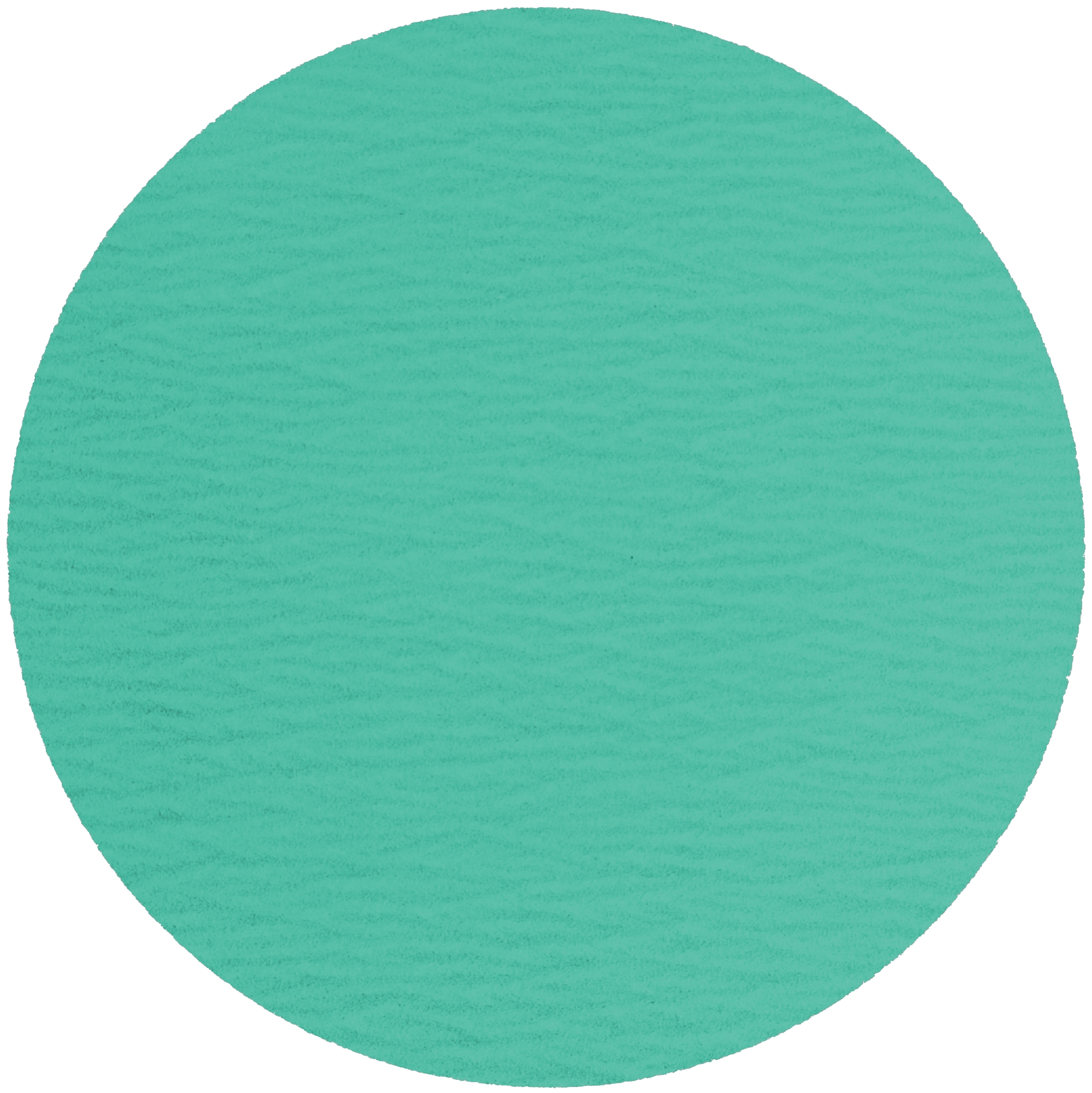 Abbildung Klingspor PS 77 CK T-ACT 125mm ohne Verpackung.